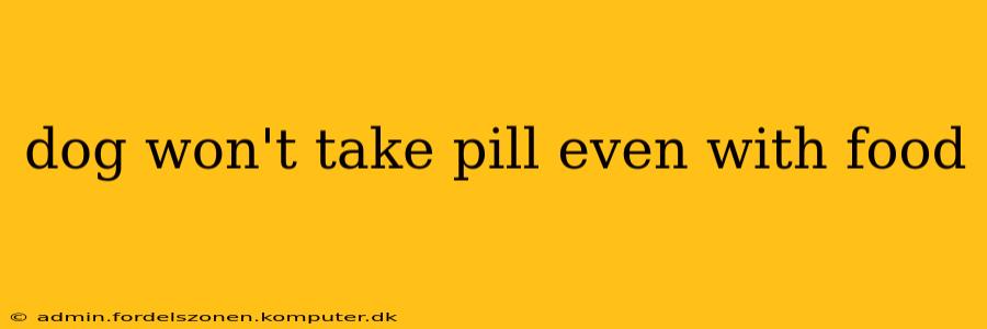 dog won't take pill even with food