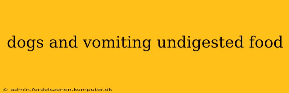 dogs and vomiting undigested food