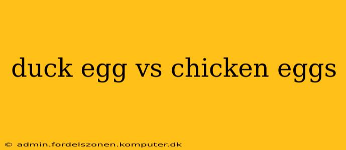 duck egg vs chicken eggs