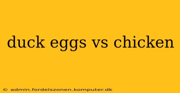 duck eggs vs chicken