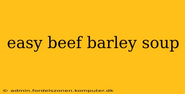 easy beef barley soup