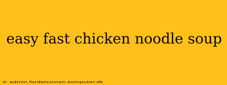 easy fast chicken noodle soup