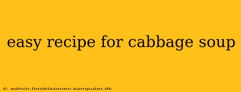easy recipe for cabbage soup