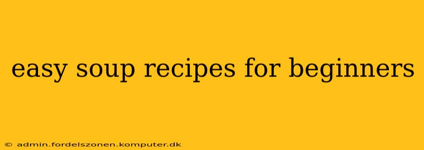 easy soup recipes for beginners