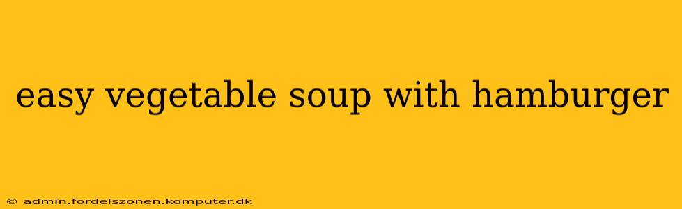 easy vegetable soup with hamburger