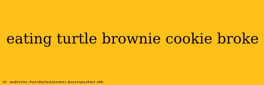 eating turtle brownie cookie broke