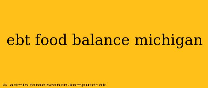 ebt food balance michigan