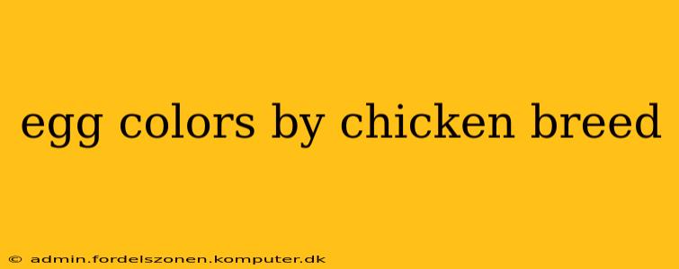 egg colors by chicken breed