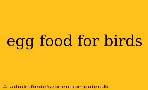 egg food for birds
