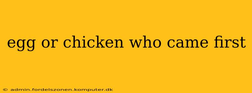 egg or chicken who came first