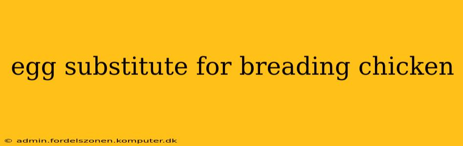 egg substitute for breading chicken