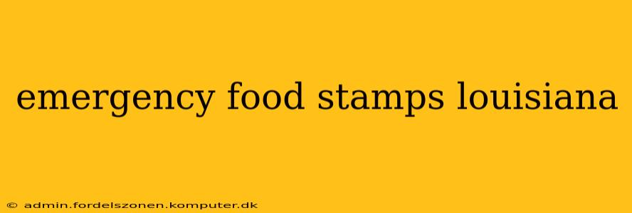 emergency food stamps louisiana