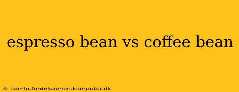 espresso bean vs coffee bean