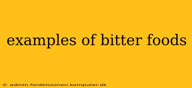 examples of bitter foods