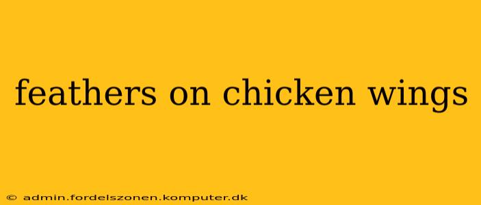 feathers on chicken wings