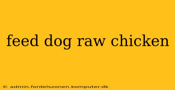 feed dog raw chicken