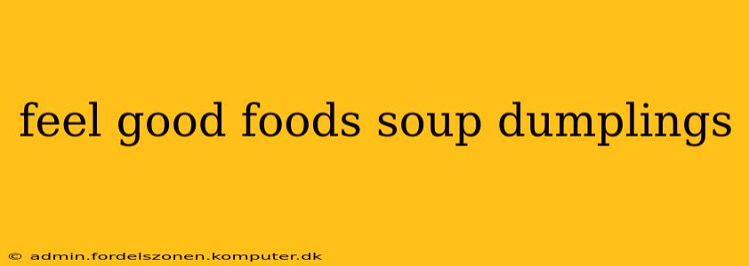 feel good foods soup dumplings
