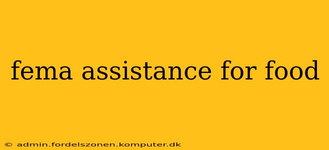 fema assistance for food
