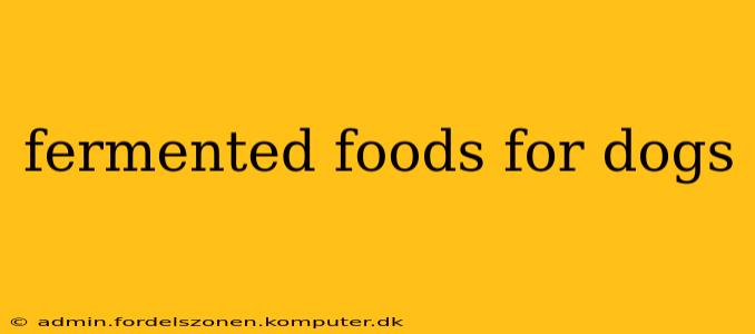 fermented foods for dogs