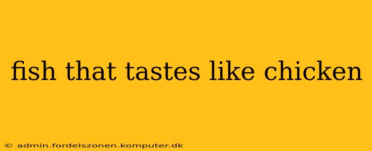 fish that tastes like chicken