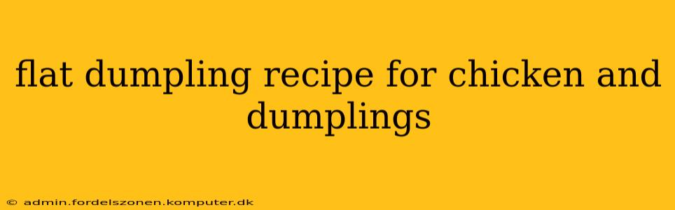 flat dumpling recipe for chicken and dumplings