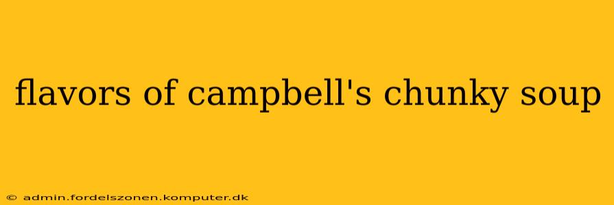 flavors of campbell's chunky soup