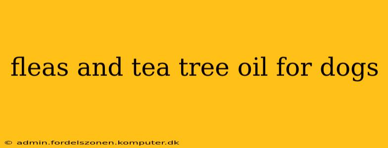 fleas and tea tree oil for dogs