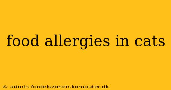 food allergies in cats