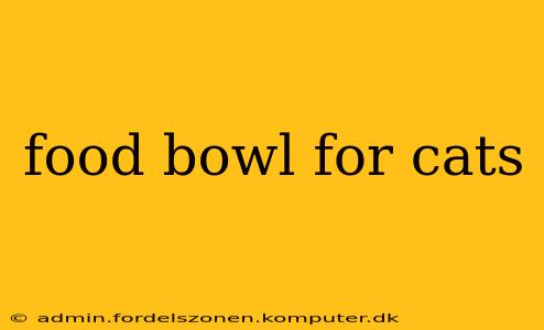 food bowl for cats