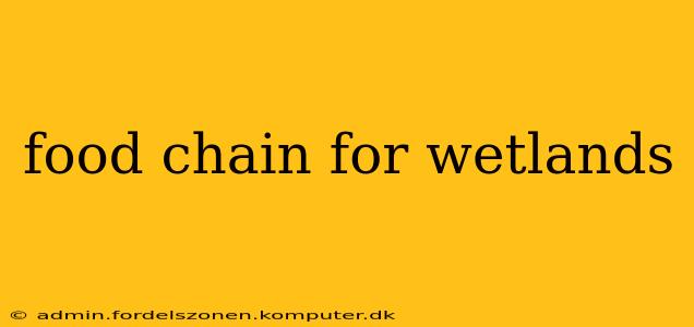 food chain for wetlands