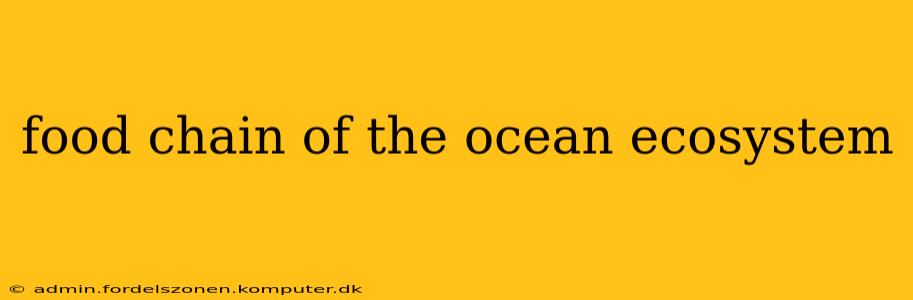food chain of the ocean ecosystem