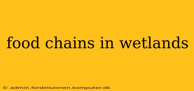 food chains in wetlands
