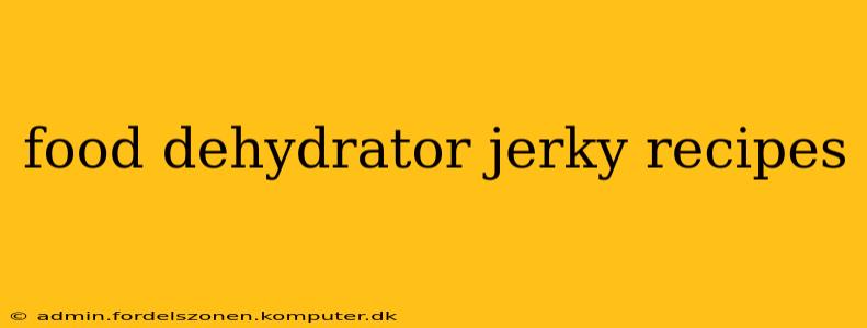 food dehydrator jerky recipes