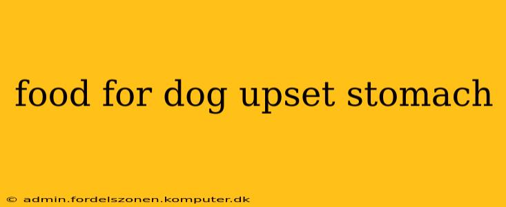 food for dog upset stomach