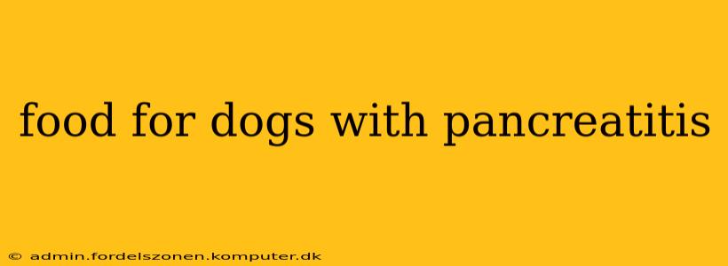 food for dogs with pancreatitis