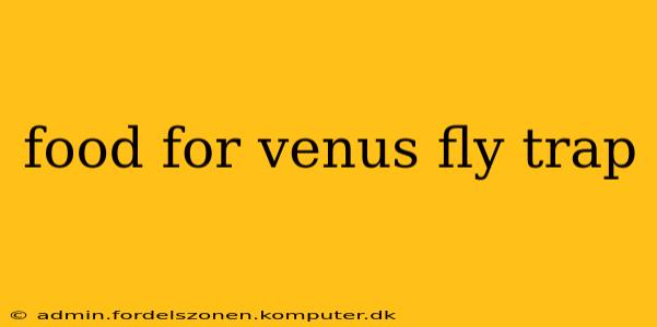 food for venus fly trap