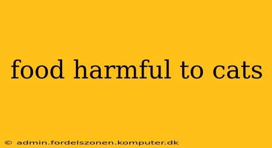 food harmful to cats