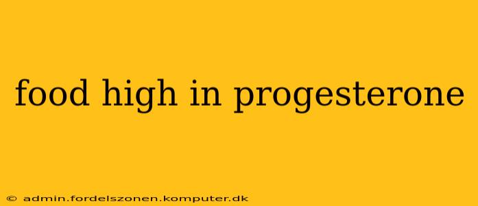 food high in progesterone