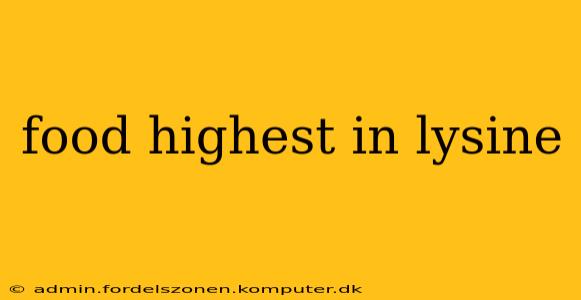 food highest in lysine