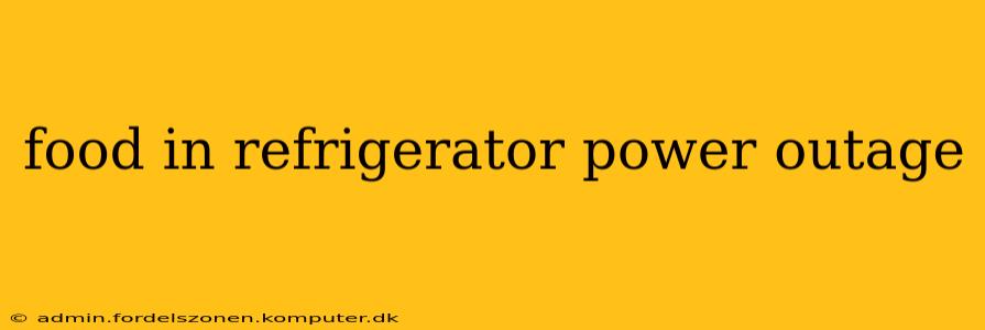 food in refrigerator power outage