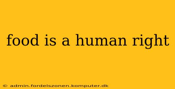 food is a human right