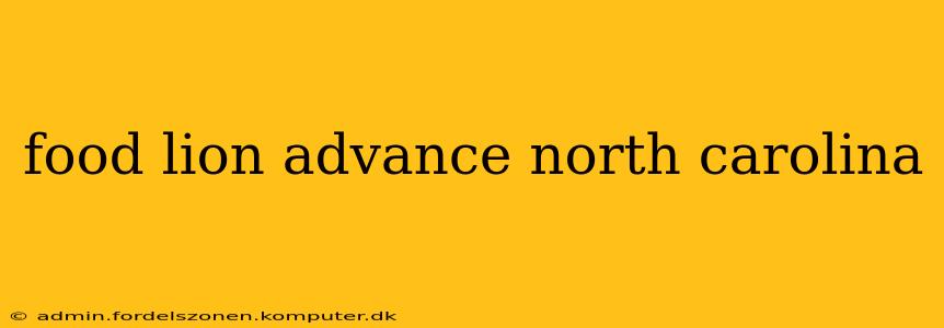 food lion advance north carolina