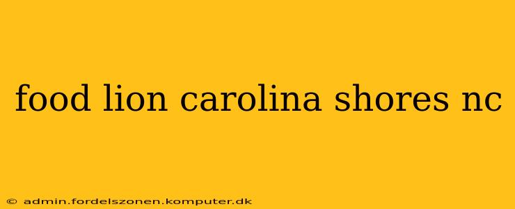 food lion carolina shores nc