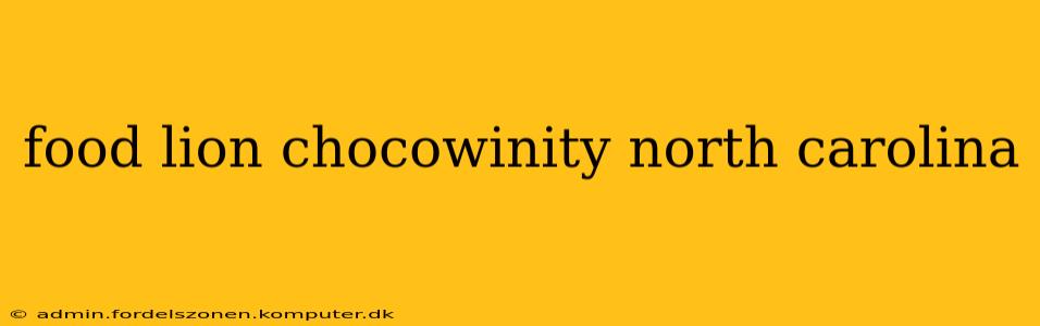 food lion chocowinity north carolina