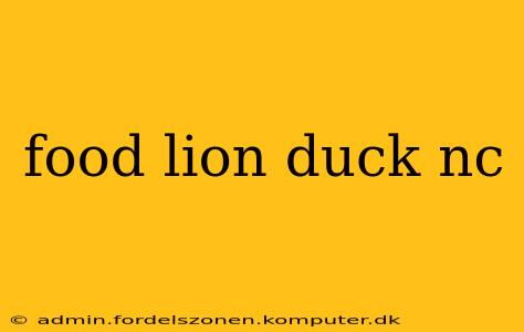 food lion duck nc