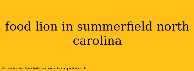 food lion in summerfield north carolina