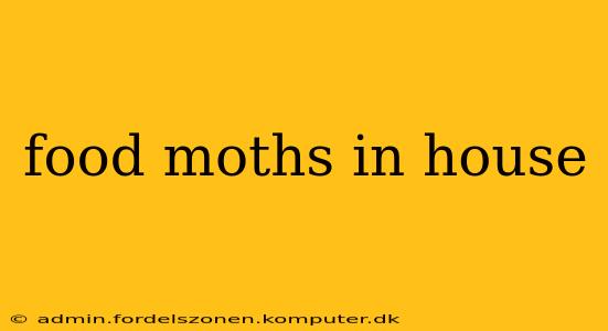 food moths in house