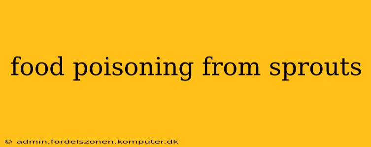 food poisoning from sprouts