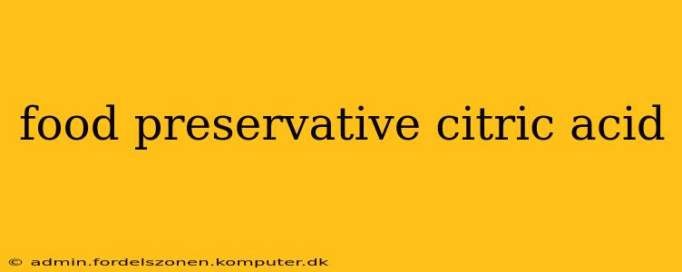 food preservative citric acid