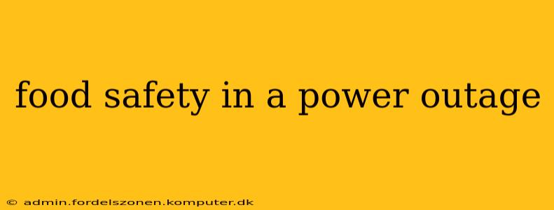 food safety in a power outage